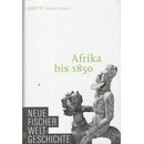 Neue Fischer Weltgeschichte. Band 19: Geb. Ausg....